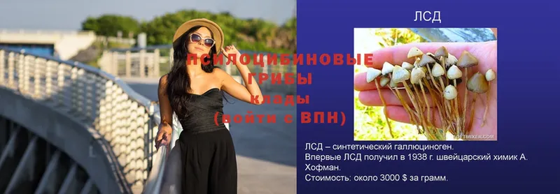 Галлюциногенные грибы ЛСД  дарнет шоп  Муром 
