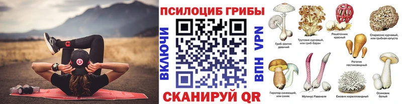 закладки  Муром  МЕГА   Псилоцибиновые грибы мицелий 