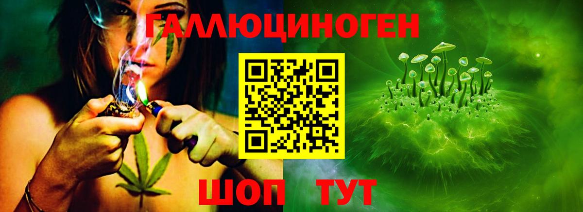 Галлюциногенные грибы GOLDEN TEACHER Муром