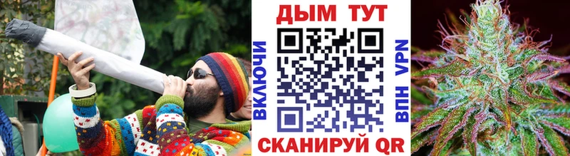 Бошки Шишки Amnesia  Муром 
